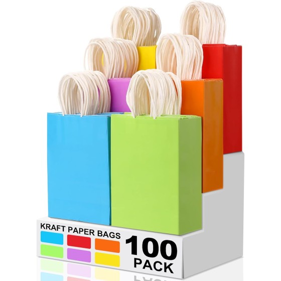 100Pcs Paper Gift Bags,6.3"x3.15"x8.66 Kraft Paper Party Favor Bulk Rainbow Goodie Small Gift Bags with Handles for Kids Birthday Baby Shower Crafts Wedding Party Supplies (6 Colors)