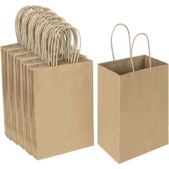 100 Pack 5.25x3.25x8.25 Inch Small Plain Natural Kraft Paper Gift Bags with Handles Bulk for Birthday Party Favors Grocery Retail Shopping Business Goody Craft Bags Cub Sacks (Brown 100 Count)